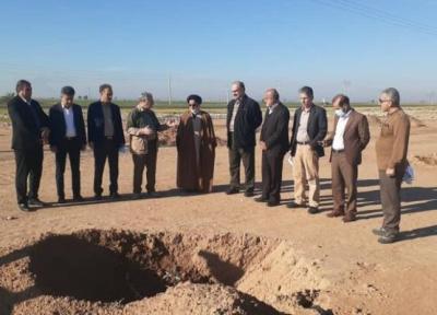 1300 هکتار جنگل کاری در استان ایلام انجام می گردد